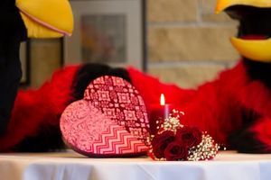 Image post by @smumn on Instagram