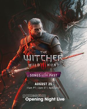 Image post by @thewitcher on Instagram
