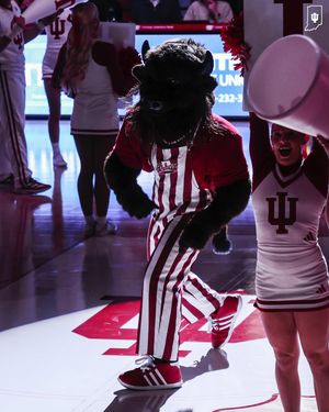 Image post by @hoosierthebison on Instagram
