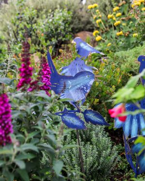 Image post by @rogersgardens on Instagram