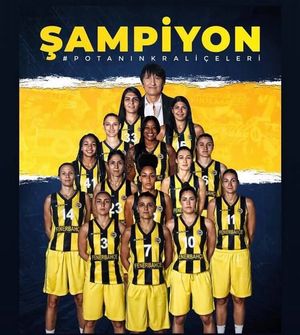 Image post by @nyliberty on Facebook