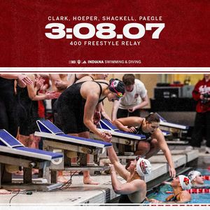 Image post by @indianaswimdive on Instagram