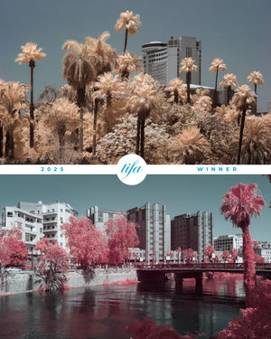 Image post by @tokyofotoawards on Instagram