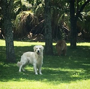 Image post by @mikethewhitegolden on Instagram