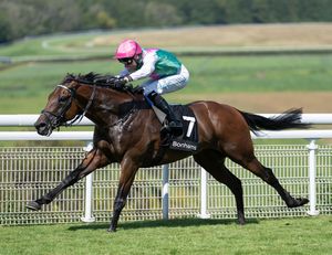 Image post by @juddmonte on Instagram