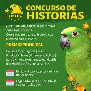 Image post by @fundacionloros on Instagram