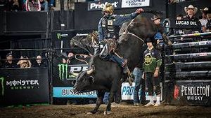 Video post by @pbr on YouTube