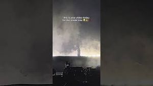 Video post by @beachpleasefestival on YouTube