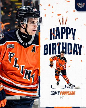 Image post by @flintfirebirds on Instagram