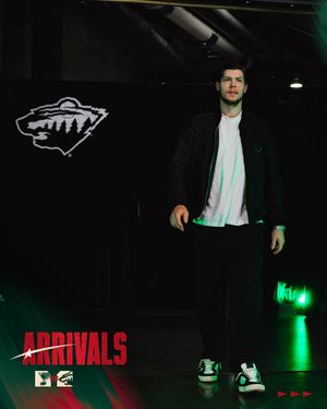 Image post by @minnesotawild on Instagram