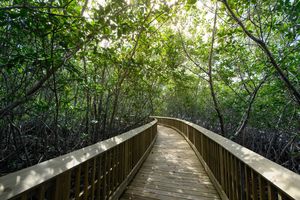 Image post by @deeringestate on Instagram