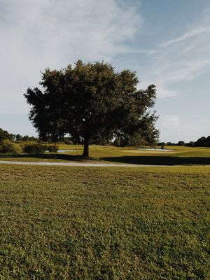 Image post by @carlsoncreations00 on Instagram