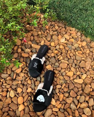 Image post by @pantudog on Instagram