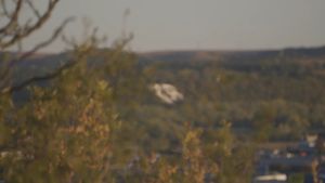 Video post by @KState on Facebook