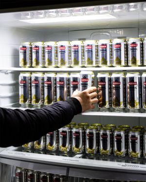 Image post by @sleemanbeer on Instagram