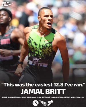 Image post by @dyestat on Instagram