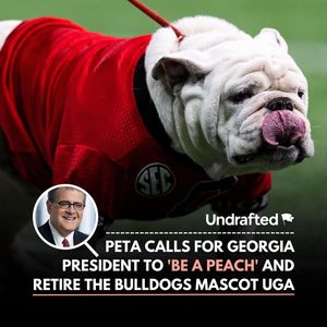 Image post by @undraftednews on Instagram