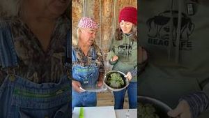 Video post by @annathearcher on YouTube