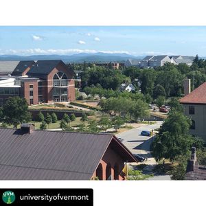 Image post by @uvmwhockey on Instagram