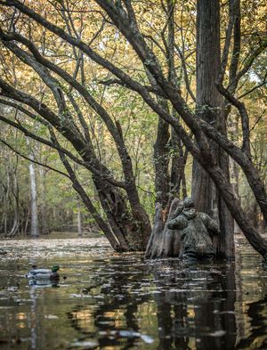 Image post by @realtreeoutdoors on Instagram