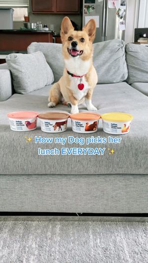 Video post by @aircorg on Instagram