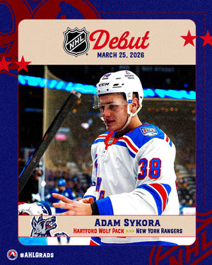 Image post by @theahl on Instagram