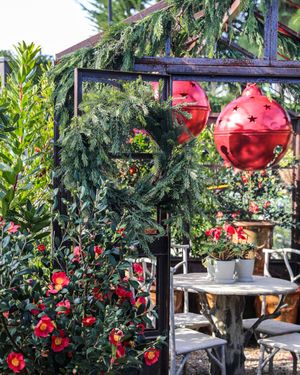 Image post by @rogersgardens on Instagram