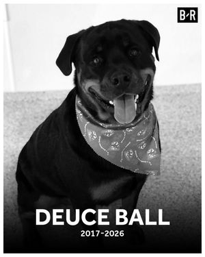 Image post by @bleacherreport on Instagram