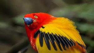 Video post by @bbcearth on YouTube