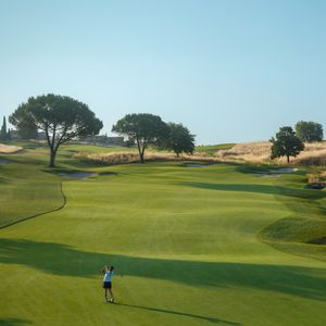 Image post by @marcosimonegolf on Instagram