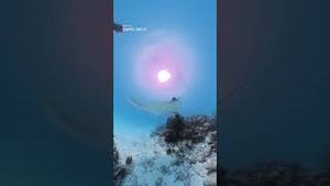 Video post by @dji on YouTube