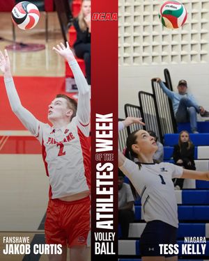 Image post by @theocaa on Instagram