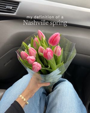 Video post by @michelleknutson on TikTok