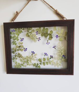 Image post by @leafyaffair on Instagram