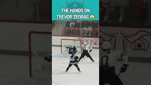 Video post by @nhl on YouTube