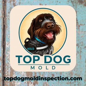 Image post by @topdogmold on Instagram