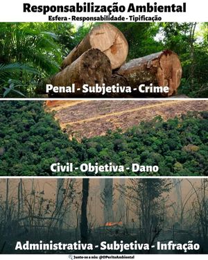 Image post by @operitoambiental on Instagram