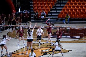 Image post by @elonvb on Instagram