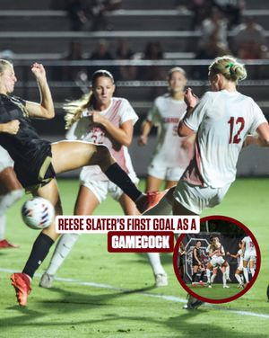 Image post by @gamecockwsoccer on Instagram