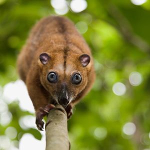 Image post by @discovery on Instagram