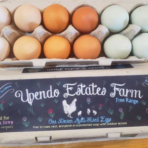 Image post by @upendoestatesfarm on Instagram
