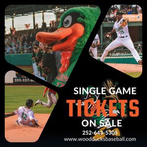 Image post by @gowoodducks on Instagram