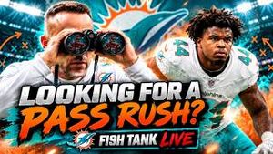 Video post by @dolphinstalk on YouTube