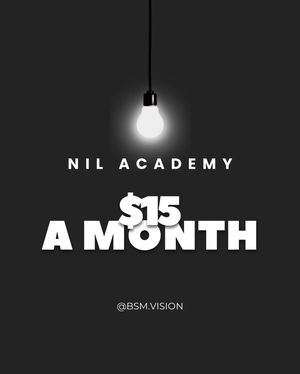 Image post by @bsm.vision on Instagram