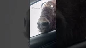 Video post by @accuweather on YouTube