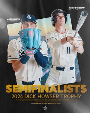 Image post by @usdbaseball on Instagram