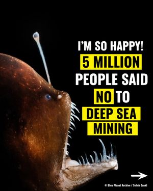 Image post by @greenpeace on Instagram