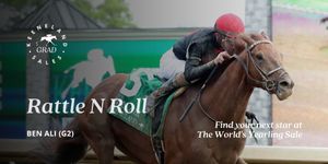 Image post by @keenelandsales on Twitter