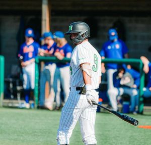 Image post by @herdbsb on Instagram