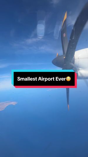 Video post by @josiestoffan on TikTok